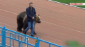 Scene amuzante in Rusia. Un urs a deschis un meci din liga a treia: a trimis mingea arbitrului si a salutat suporterii