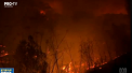 Imagini apocaliptice vin din Australia, unde un urias incendiu de vegetatie risca sa distruga orasul Sidney, cel mai mare din tara - VIDEO