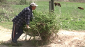 Dupa ce au incheiat curatenia de Pasti, dar si sarbatorile, oamenii de la sate au revenit la munca in gradina. Acestia ies din case cand rasare soarele si intra abia cand apune - VIDEO