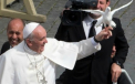 Un soim a fost "angajat" la Vatican pentru a proteja porumbeii papei Francisc