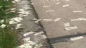 A Ã®nceput "sa ploua" cu bani pe o autostrada din SUA. Reactia soferilor - VIDEO