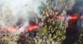 Vulcanul Kilauea din Hawaii a erupt violent, iar lava a ajuns pe strada - VIDEO