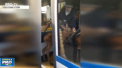 Un pui de ren, care s-a pierdut de la turma sa, a ajuns la o statie de autobuz din Rusia si a incercat sa intre in vehicul - VIDEO