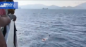 Scene dramatice in largul coastei grecesti. O femeie, care era cat pe ce sa se inece, aflandu-se la o distanta de peste 20 de kilometri de tarm a avut un noroc urias. Ce a urmat - VIDEO