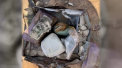 Un american a gasit un seif ingropat in curte, iar inauntru se afla o avere - VIDEO