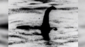 ADN-ul monstrului din Loch Ness, un mister pentru cercetatori