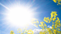 Prognoza meteo pentru astazi. Unde va ploua si ce temperaturi vom avea - FOTO