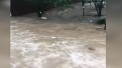 E stare de urgenta in statul american Maryland, dupa o puternica furtuna care a provocat inundatii catastrofale. Torentele de apa au luat pe sus tot ce le-a iesit in cale - VIDEO