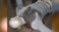 Fotografia falsa care a pacalit presa. Ce se ascunde in spatele imaginii cu "Babchenko mort"