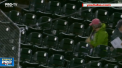 Ghinion teribil pentru o gasca, la un meci de baseball din SUA. Fugarita de pe teren, pasarea a zburat si s-a izbit in tabela de scor - VIDEO