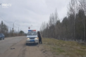 Intalnire neasteptata pentru doi politisti din Rusia care stationau pe marginea unei sosele, in apropiere de o padure. Un urs a incercat sa intre in masina lor - VIDEO