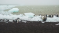 Oamenii de stiinta, alarmati: gheturile din Antarctica se topesc de trei ori mai rapid