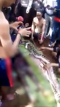 O femeie de 54 de ani a murit, dupa ce a fost inghitita de un piton imens