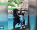 Imagini induiosatoare, surprinse la o gradina zoologica din SUA. Reactia unui urs, cand un copil incepe sa sara, lasa vizitatorii cu gura cascata - VIDEO