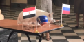 Motanul Ahille a ales castigatoarea meciului dintre Rusia si Egipt. Ce tara a ales oracolul oficial al Cupei Mondiale - VIDEO