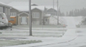 Vremea le-a facut o surpriza canadienilor. La sfarsit de iunie a nins ca in luna ianuarie, iar fulgii de zapada s-au depus intr-un strat de cativa centimetri - VIDEO