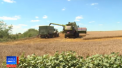 Salarii de peste 2 mii de euro in Romania, pentru angajatii din agricultura. Ce conditii trebuie sa indeplineasca