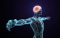 Un nou organ identificat in corpul uman! Cartile de medicina trebuie rescrise