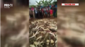 Aproape 300 de crocodili au fost omorati cu cruzime in Indonezia. Totul dupa ce o reptila a ucis un fermier - VIDEO