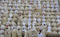 LIVE. Canonizarea Papei Ioan Paul al II-lea si Ioan al XXIII-lea. Piata San Pietro s-a umplut de la primele orele ale zilei