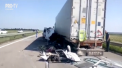 Un accident grav s-a produs in Ucraina. Un microbuz cu pasageri din Belarus a intrat intr-un camion. Cinci persoane au murit, iar 12 au fost ranite - VIDEO
