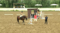 Invata de la cei mai buni. Zece reprezentanti ai sportului ecvestru de la noi participa la un seminar condus de o legenda a echitatiei din Europa de Est - VIDEO