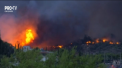 Bilantul incendiilor din Grecia este in crestere si a ajuns la 91 de decese. 25 de persoane sunt inca de negasit - VIDEO