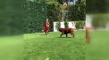 Lionel Messi dribleaza tot ce gaseste acasa. In ultima zi de vacanta, starul argentinian s-a jucat cu cainele sau Hulk - VIDEO