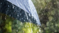 Ploi slabe si maxime de pana la 33 de grade Celsius. Cum va fi vremea in aceasta saptamana. Prognoza meteo - FOTO