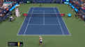 Faza amuzanta la meciul lui Novak Djokovic de la Cincinnati. O insecta a intrerupt pentru cateva clipe partida contra lui Steve Johnson, dupa ce a aterizat pe teren - VIDEO