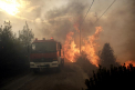 Un nou bilant al incendiilor care au devastat Grecia: 96 de morti