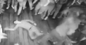 Bataie generala intr-un club de noapte din Moscova. Un barbat a pus la pamant 7 indivizi - VIDEO