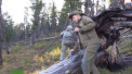 Vladimir Putin a pornit in drumetie prin salbaticia Siberiei. Liderul rus se plimba cu barca, examineaza plante si din cand in cand se odihneste pe cate un bustean - VIDEO