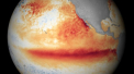 Organizatia Meteorologica Mondiala: Un nou fenomen El Nino se va produce in acest an
