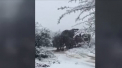 Vremea a luat-o razna, pot spune locuitorii din Africa de Sud, unde a nins ca in plina iarna. Animalele au ramas inmarmurite de frig, iar numeroase drumuri au fost blocate - VIDEO