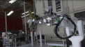 Lipsa fortei de munca in agricultura l-a determinat pe un fermier din SUA sa-si ingrijeasca recolta cu ajutorul robotilor - VIDEO