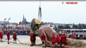 Invazie de papusi gigantice intr-un oras din  Marea Britanie. Acestea s-au plimbat pe strazi, fiind manuite de actori, spre deliciu publicului - VIDEO