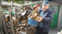 Sezonul rece vine cu preturi de-ti ingheata inima. Lemnele s-au scumpit anul acesta cu 20 la suta fata de anul trecut. Responsabilii de la Moldsilva spun ca majorarile sunt nefondate. Ce spun oamenii - VIDEO