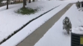 A venit iarna in Statele Unite. Un strat gros de zapada s-a asternut peste noapte in statele americane Colorado si Wyoming - VIDEO