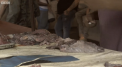 Tara in care oamenii sunt nevoiti sa consume carne stricata pentru a supravietui - VIDEO
