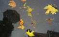 Prognoza meteo. Vezi cum va fi vremea astazi. Meteorologii au emis un nou cod galben - FOTO