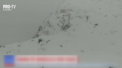 A nins in Romania. Zapada s-a asternut pe sosele, iar muncitorii au iesit sa toarne material antiderapant. Un alte zone viscolul a smuls copaci. Un om a murit strivit de un arbore - VIDEO