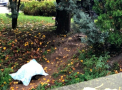 Roman gasit mort dupa inundatiile din Italia. Cadavrul a fost scos de scafandri
