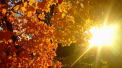 Prognoza meteo. Ce temperaturi vom avea astazi, dar si cum va fi vremea in acest weekend - FOTO