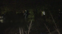 Descoperire macabra in Constanta. Cadavru, intr-un bazin de inot abandonat