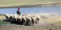 Un barbat din Cahul, gasit mort la o stana dintr-o localitate din Cahul. Detaliile care ies la iveala dupa doua luni de la inmormantare - Ziarul de Garda