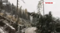 Dezastru in Italia. Numarul mortilor lasati in urma inundatiilor a ajuns la 30. Ploile abundente au smuls din radacina mii de copaci, iar mai multe drumuri si poduri au fost afectate - VIDEO