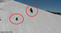 Lectia oferita de un pui de urs pe un versant inzapezit a captivat milioane de oameni - VIDEO