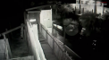 Un barbat a sarit intr-un iaz plin de crocodili. Imaginile surprinse de camerele de supraveghere - VIDEO