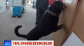 Cine este inamicul nr. 1 al detinutilor din Germania. Cand apare Yem, toti tremura - VIDEO